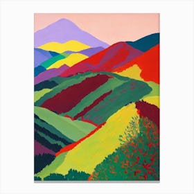 Pyrénées National Park France Abstract Colourful Canvas Print