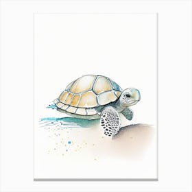 Hatching Sea Turtle, Sea Turtle Pencil Illustration 1 Canvas Print