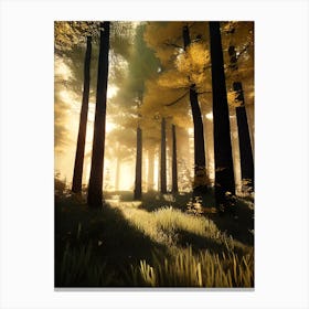 Forest 46 Canvas Print