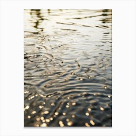 Reflection In Water 1 Canvas Print