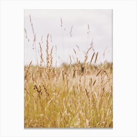 Summer Wheat Field Canvas Print