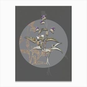 Vintage Botanical Blue Spiderwort on Circle Gray on Gray n.0253 Canvas Print