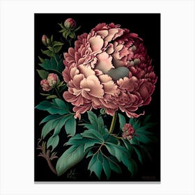 Monsieur Jules Elie Peonies Light Pink Vintage Botanical Canvas Print