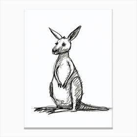 B&W Kangaroo Canvas Print