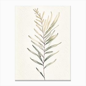 Sagebrush Leaf Minimalist Watercolour Canvas Print