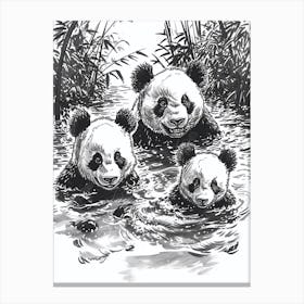 Giant Panda Family Swimming In A River Ink Illustration 2 Canvas Print