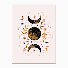 Full Moon    Canvas Print
