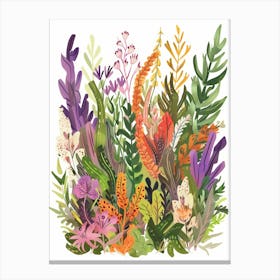 Botanical Illustration 1 Canvas Print