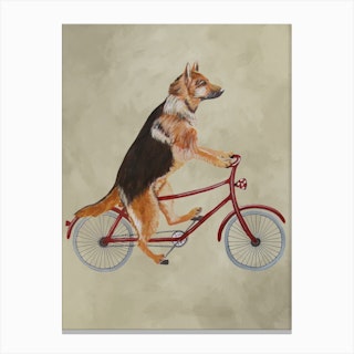 German Shepherd On Bicycle Canvas Print