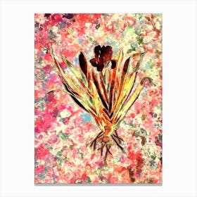 Impressionist Crimean Iris Botanical Painting in Blush Pink and Gold n.0037 Canvas Print