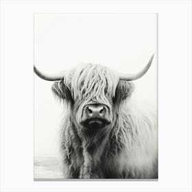 Black & White Stippling Illustration Of Highland Cow 2 Canvas Print