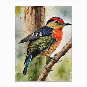 Buff Rumped Woodpecker Canvas Print