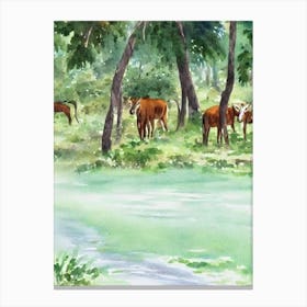 Yala National Park Sri Lanka Water Colour Poster Canvas Print