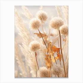 Boho Dried Flowers Bergamot 1 Canvas Print