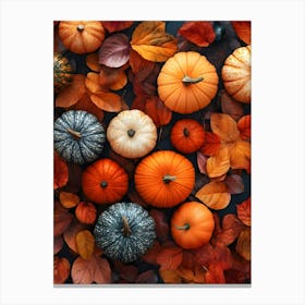 The Pumpkin Harvest 6 Canvas Print