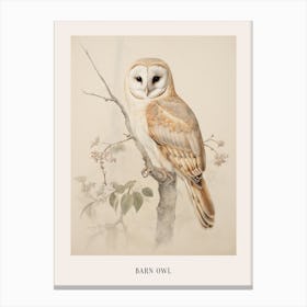 Vintage Bird Drawing Barn Owl 1 Poster Canvas Print