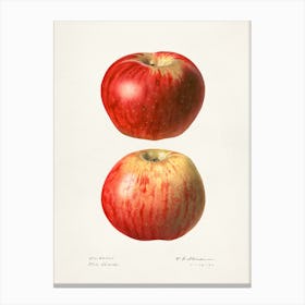 Apples And Pears Canvas Print