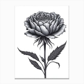 A Carnation In Black White Line Art Vertical Composition 37 Canvas Print