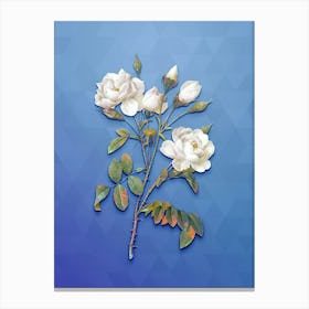 Vintage White Rose Botanical Art on Blue Perennial n.0402 Canvas Print