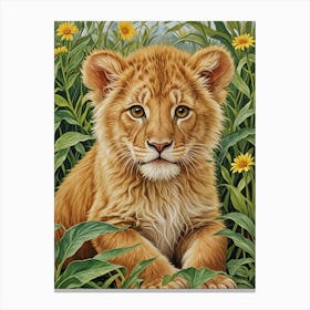 Lion Cub Canvas Print