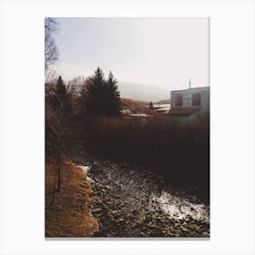 Stream Near A House Canvas Print