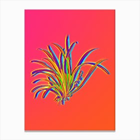 Neon Sansevieria Carnea Botanical in Hot Pink and Electric Blue n.0418 Canvas Print
