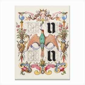 Guide For Constructing The Letters U And V From Mira Calligraphiae Monumenta, Joris Hoefnagel Canvas Print