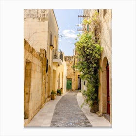 Little Street In Gozo Canvas Print