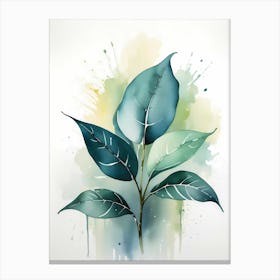 Watercolor Of A Leaf Canvas Print
