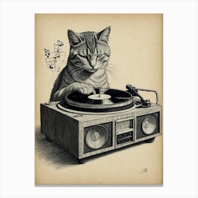 Cat Playing Turntable Canvas Print