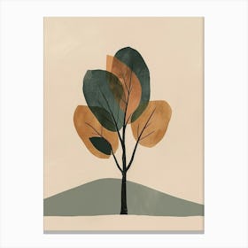 Walnut Tree Minimal Japandi Illustration 2 Canvas Print