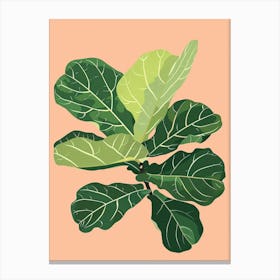 Fiddle Leaf Fig Plant Minimalist Illustration 1 Canvas Print