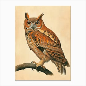 Brown Fish Owl Vintage Illustration 1 Canvas Print
