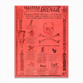 Drainage Calavera Day Of The Dead; Jose Posada Canvas Print