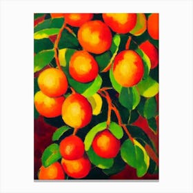 Longan 1 Fruit Vibrant Matisse Inspired Painting Fruit Canvas Print