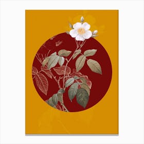 Vintage Botanical Big Leaved Climbing Rose on Circle Red on Yellow n.0313 Canvas Print