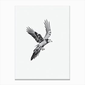 Golden Eagle B&W Pencil Drawing 4 Bird Canvas Print