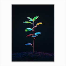 Plant Grows In The Dark 6 Canvas Print