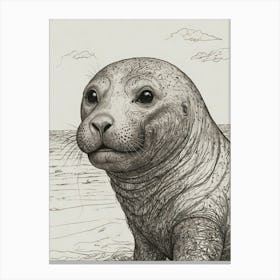 Seal Pup Canvas Print