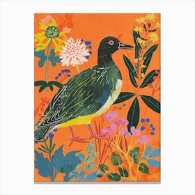 Spring Birds Coot 2 Canvas Print