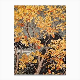 Black Willow 4 Vintage Autumn Tree Print  Canvas Print