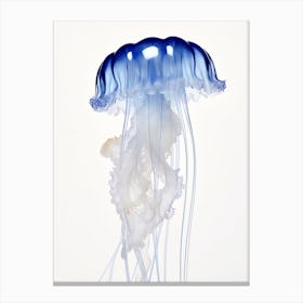 Portuguese Man Of War Jellyfish Watercolour 3 Canvas Print