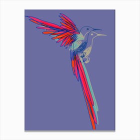 Hummingbird001 Canvas Print