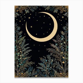 Moon And Stars Canvas Print