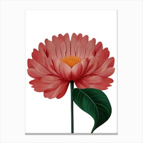 Pink Chrysanthemum Flower Canvas Print