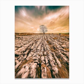 Tree And Causeway Canvas Print
