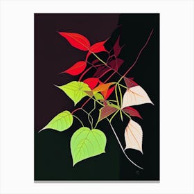 Western Poison Ivy Minimal Line Drawing 1 Canvas Print
