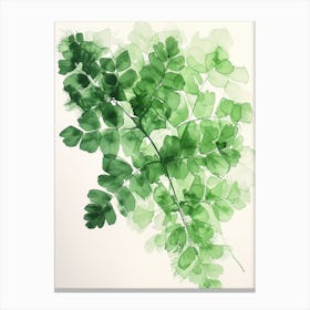 Green Ink Painting Of A Maidenhair Fern 2 Canvas Print