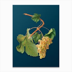 Vintage Vermentino Grapes Botanical Art on Teal Blue Canvas Print