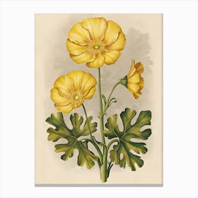 Yellow Poppy 1 Canvas Print